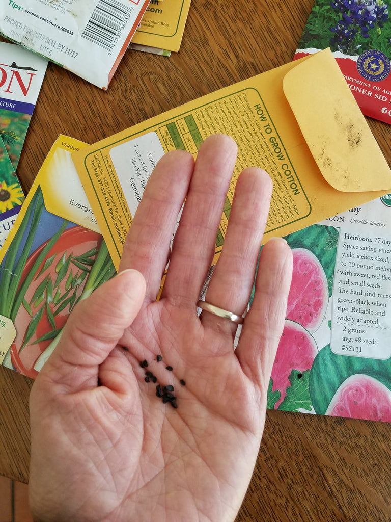 Sowing Seeds in Winter